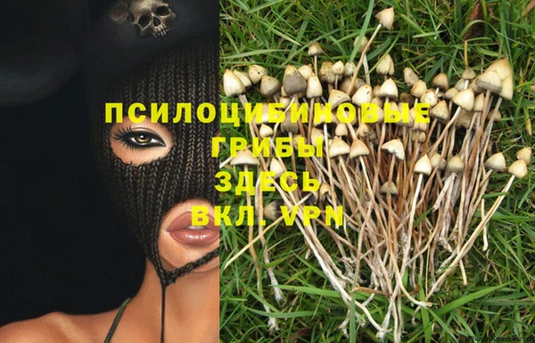 a pvp Абинск