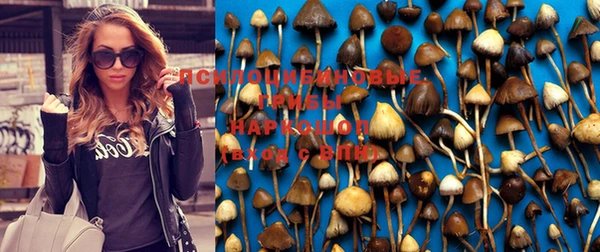 a pvp Абинск