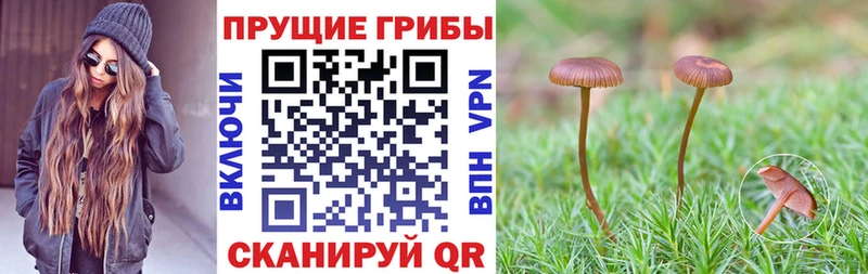 Галлюциногенные грибы мухоморы  продажа наркотиков  Орск 